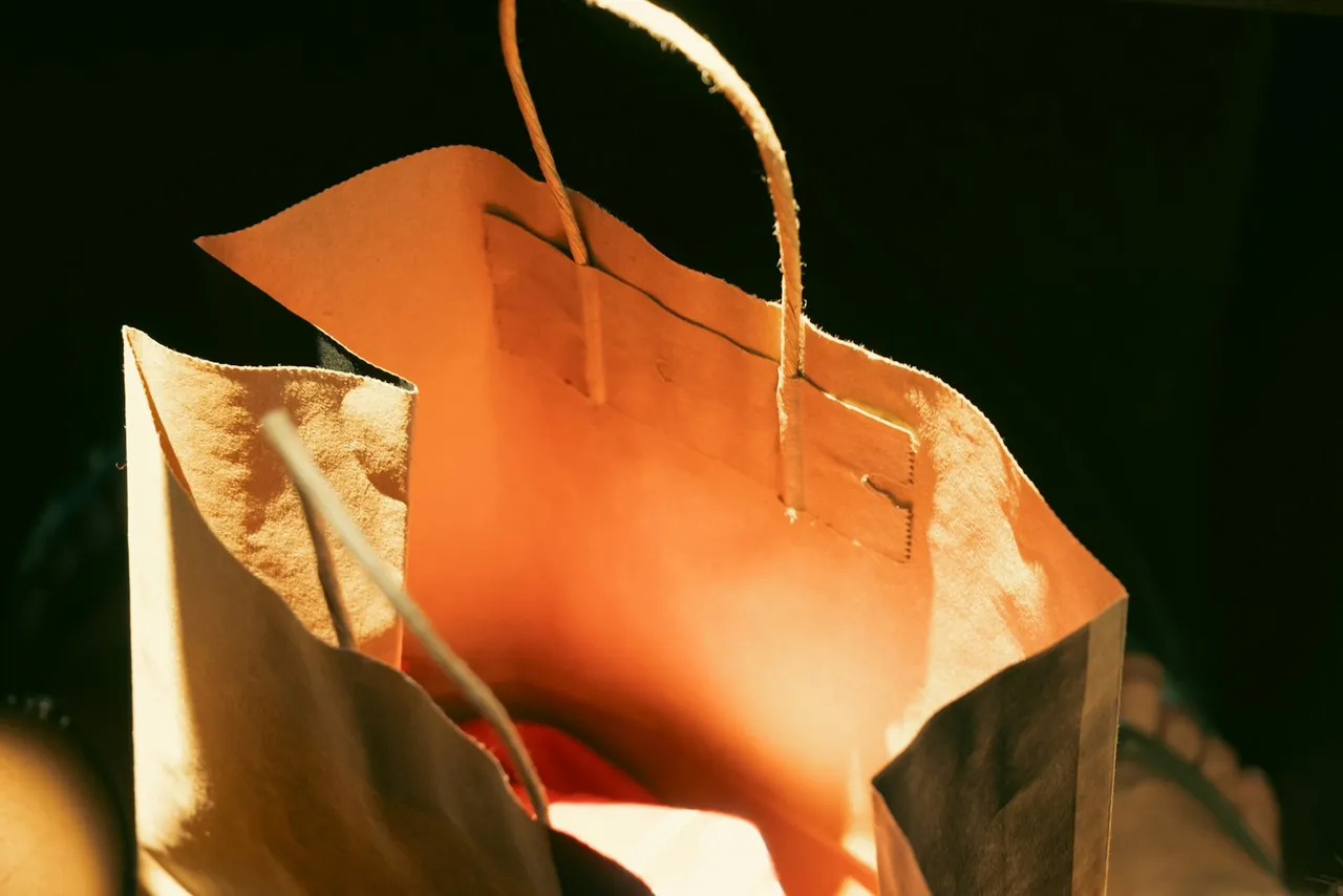 An empty kraft paper shopping bag lit by low sun
